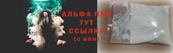 дмт Абаза