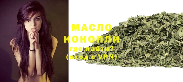 дмт Абаза