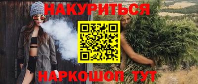 крисы Краснодар