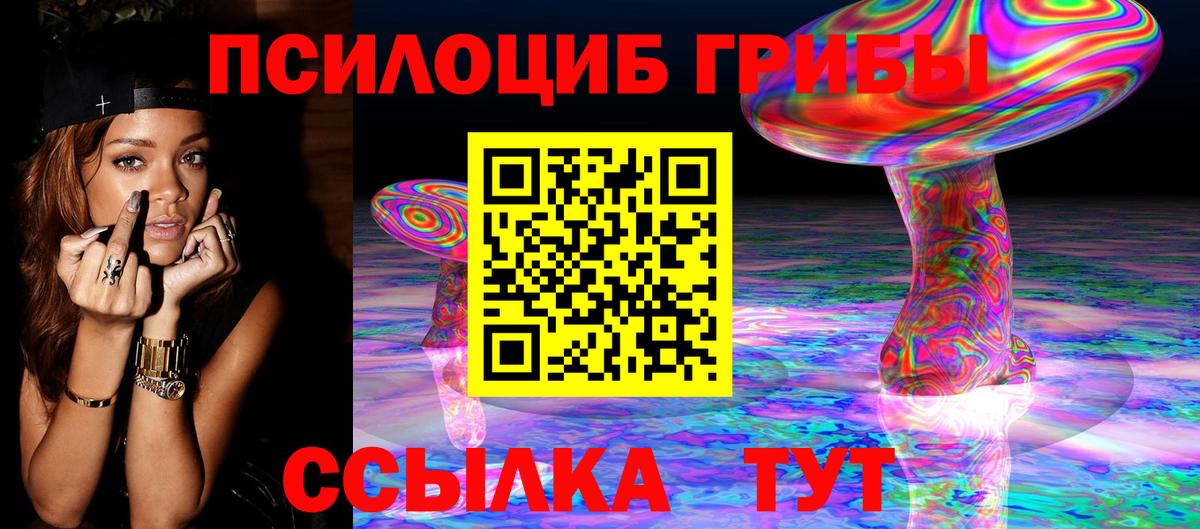 Кизляр  Псилоцибиновые грибы Psilocybine cubensis  Вход с VPN 